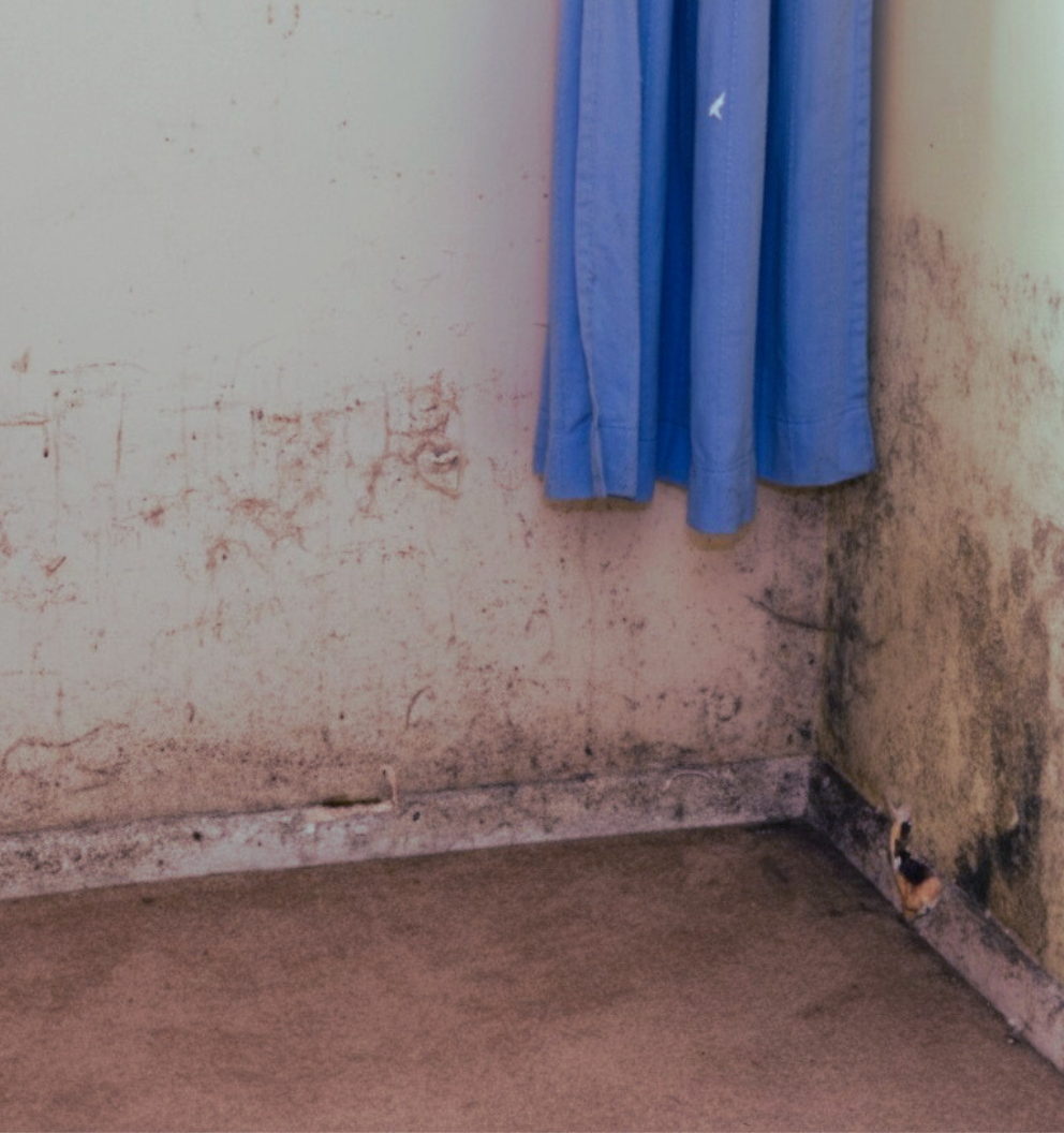 Property damage showing damp and mould